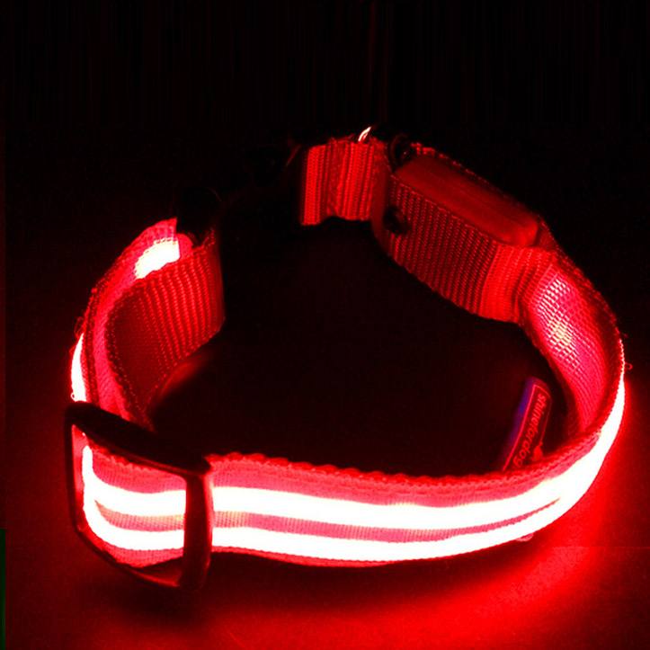 red-shine-for-dogs-leash-collar-combo-ON